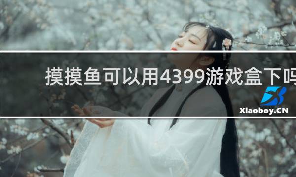 摸摸鱼可以用4399游戏盒下吗