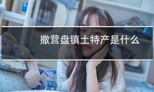 撒营盘镇土特产是什么