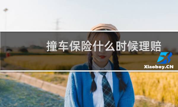 撞车保险什么时候理赔