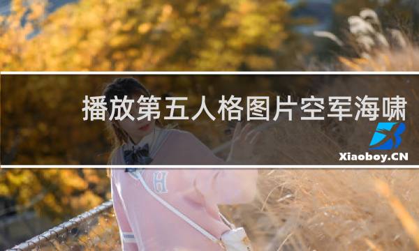 播放第五人格图片空军海啸