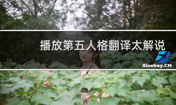 播放第五人格翻译太解说