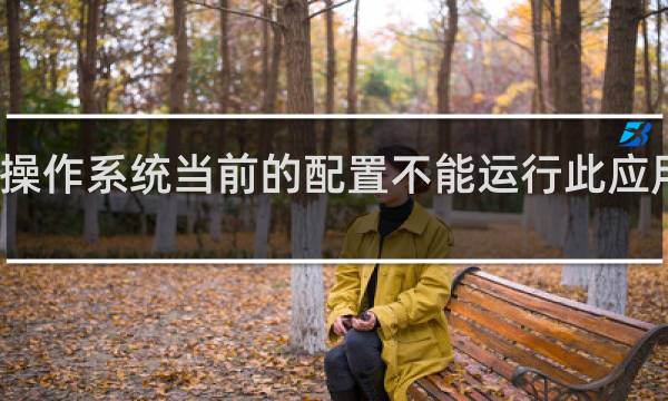操作系统当前的配置不能运行此应用程序