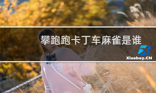攀跑跑卡丁车麻雀是谁
