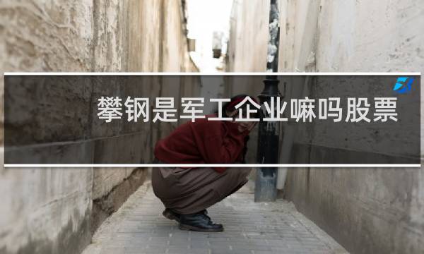 攀钢是军工企业嘛吗股票