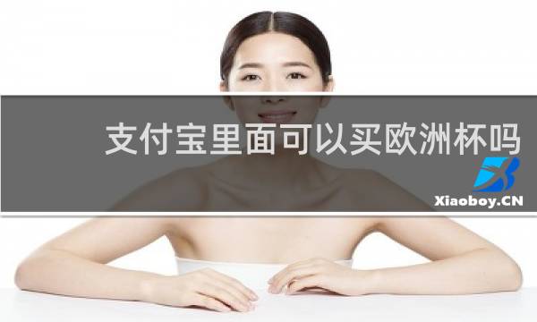 支付宝里面可以买欧洲杯吗