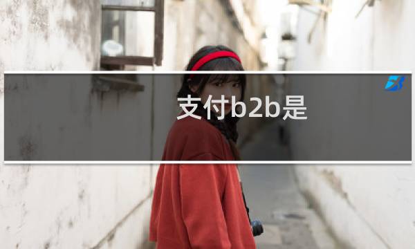 支付b2b是