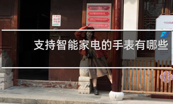 支持智能家电的手表有哪些