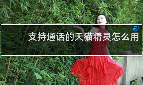 支持通话的天猫精灵怎么用
