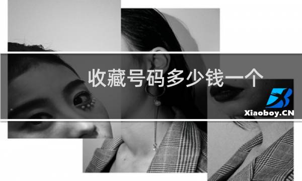 收藏号码多少钱一个