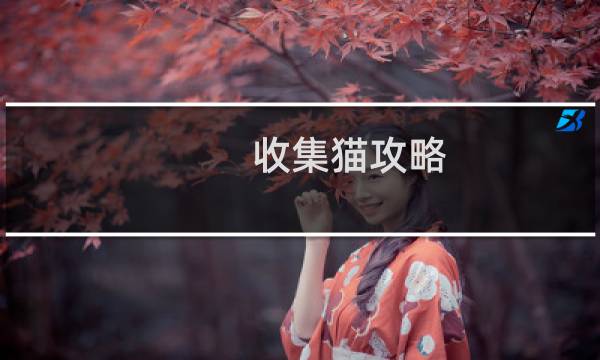 收集猫攻略