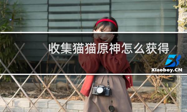 收集猫猫原神怎么获得