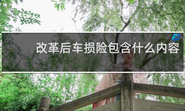 改革后车损险包含什么内容