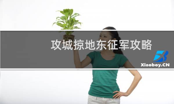攻城掠地东征军攻略