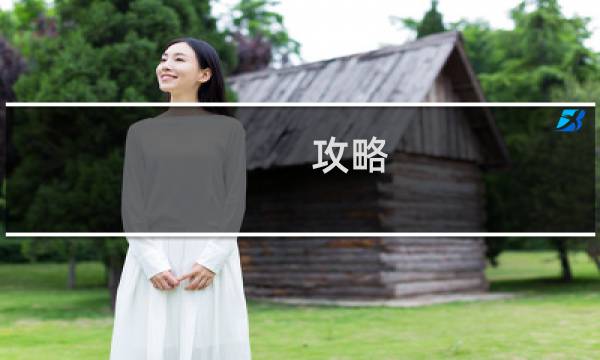 攻略 什么