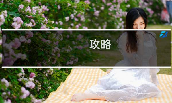 攻略 网站好