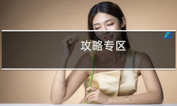 攻略专区