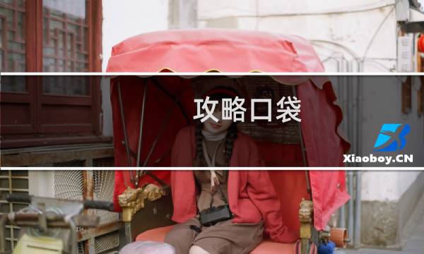 攻略口袋