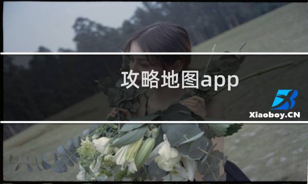 攻略地图app