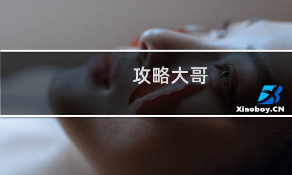 攻略大哥