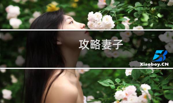 攻略妻子