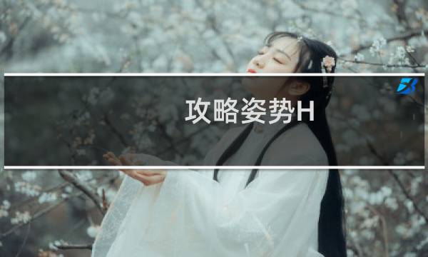 攻略姿势H