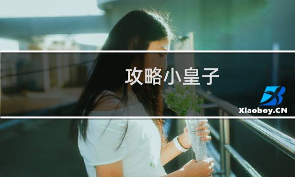 攻略小皇子