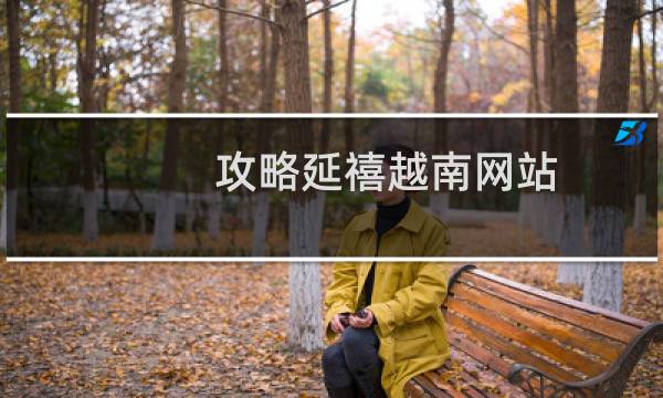 攻略延禧越南网站