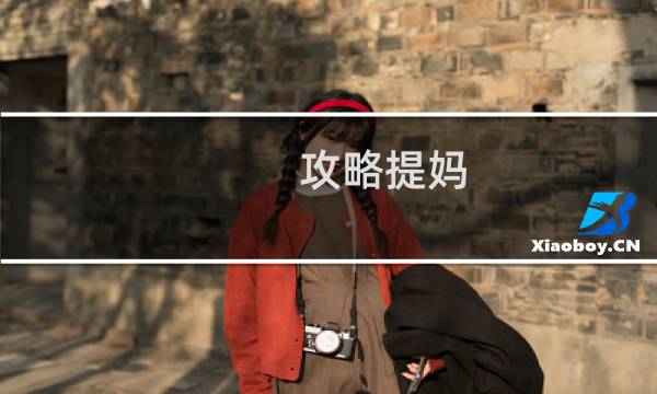 攻略提妈
