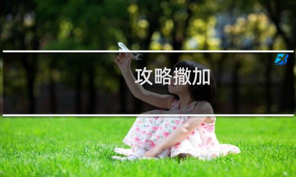 攻略撒加