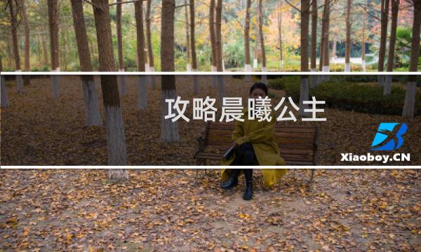 攻略晨曦公主