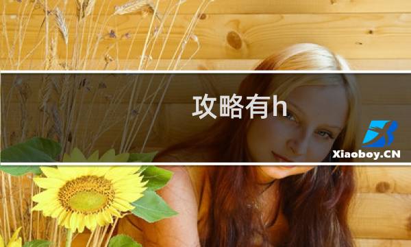 攻略有h