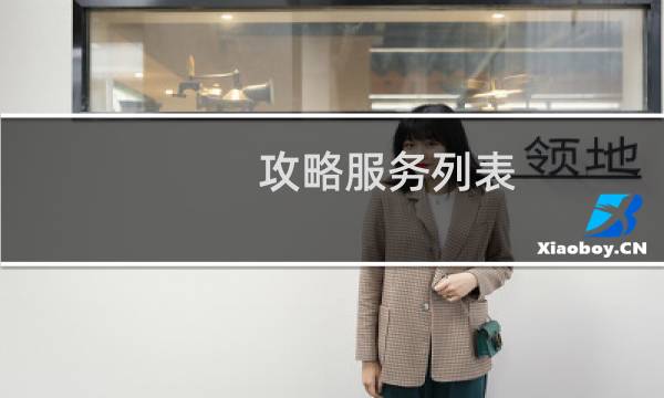攻略服务列表