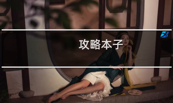 攻略本子