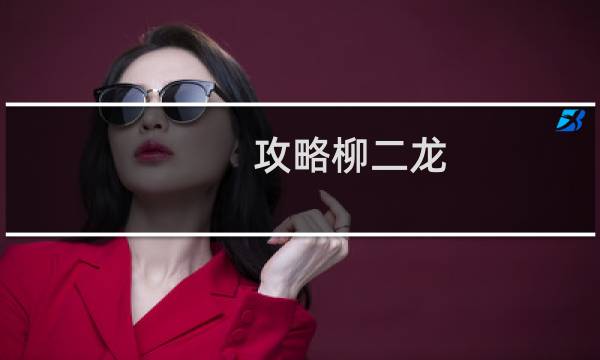 攻略柳二龙