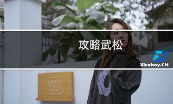 攻略武松