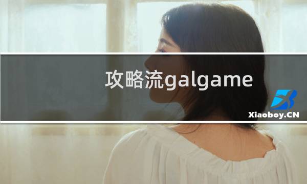 攻略流galgame