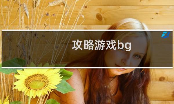 攻略游戏bg