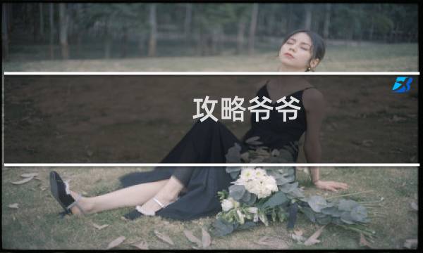 攻略爷爷