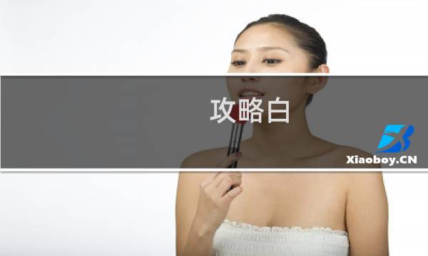 攻略白