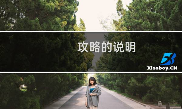 攻略的说明