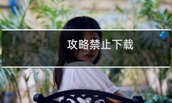 攻略禁止下载