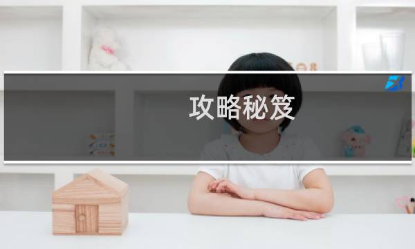 攻略秘笈