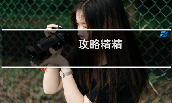 攻略精精