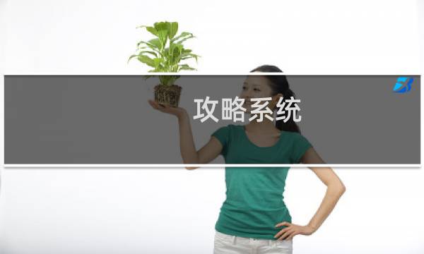 攻略系统 便成仁