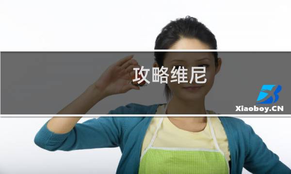 攻略维尼