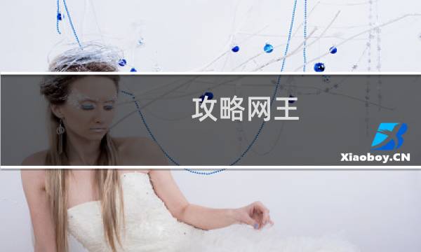 攻略网王