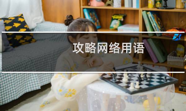 攻略网络用语
