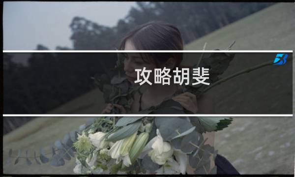 攻略胡斐