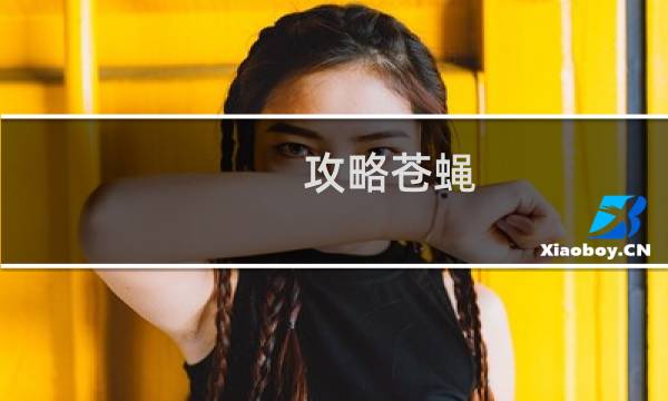 攻略苍蝇