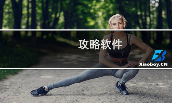 攻略软件 达